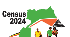 Census 2024