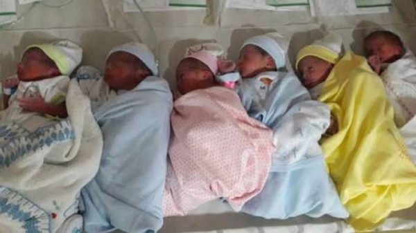 sextuplets